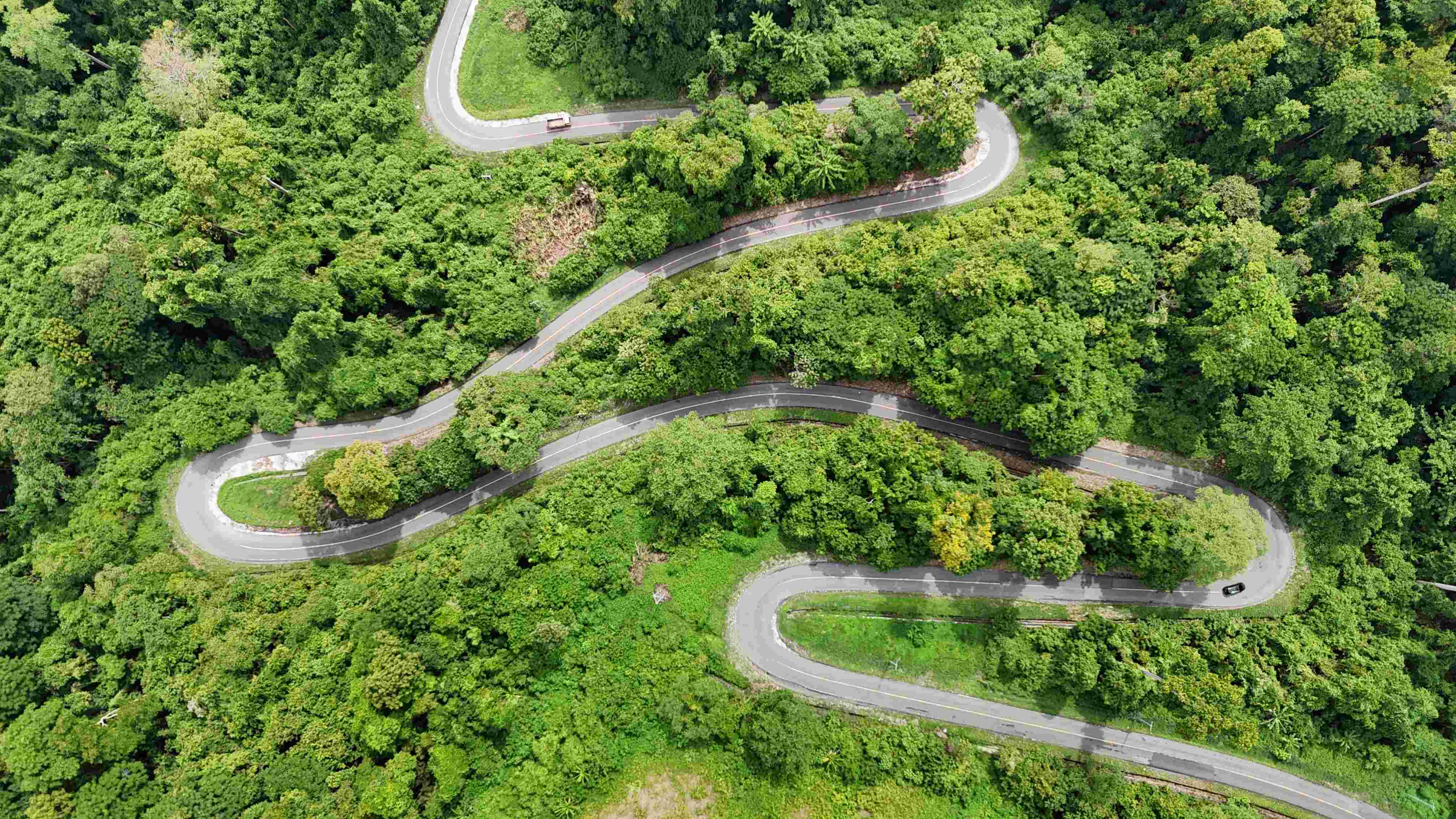 Kebijakan Tanpa Deforestasi